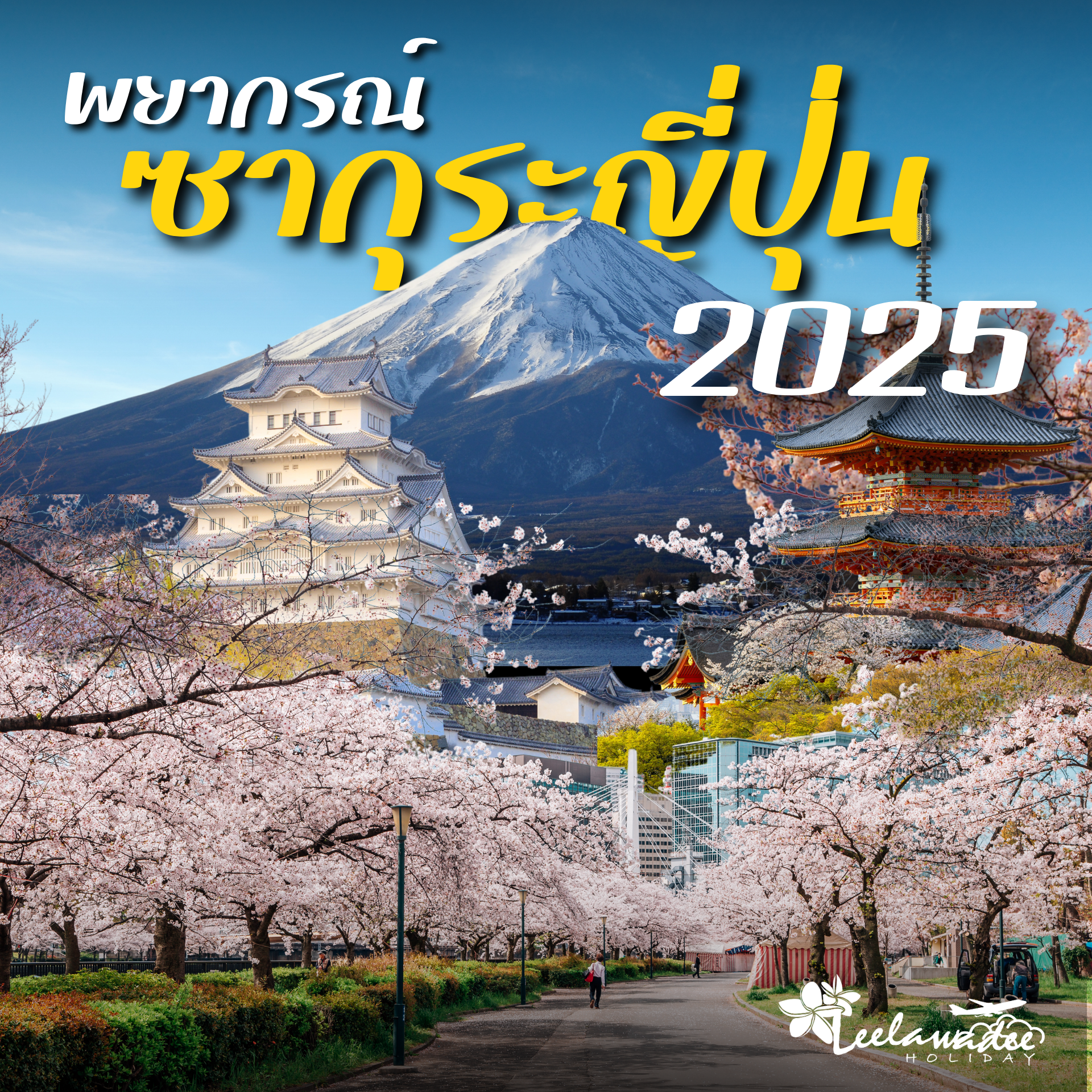  ญี่ปุ่น ลงเฟส